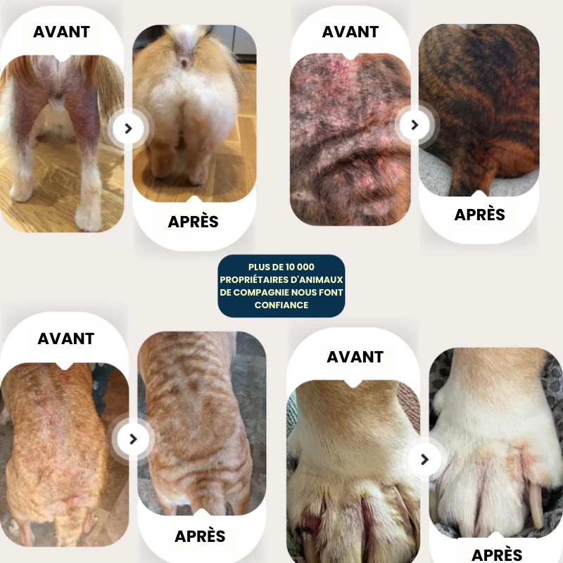 Zouzou™ – spray cutané soutenu par les vétérinaires