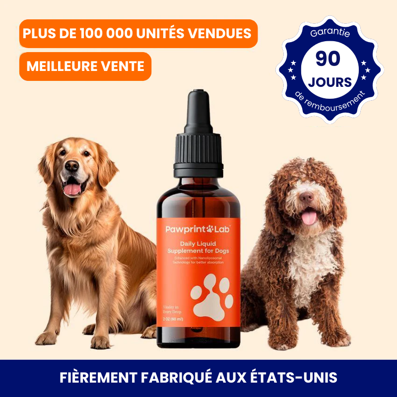 Le protocole scientifiquement prouvé pour améliorer la durée de vie en bonne santé des chiens
